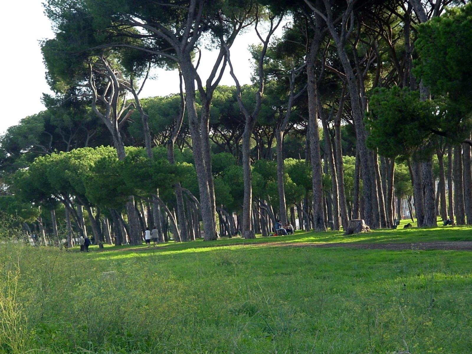 Nearpineta Roma Exterior foto
